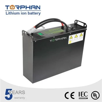 Baterai Forklift Lithium 48v Ion